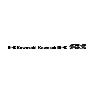Kit Kawasaki ER5