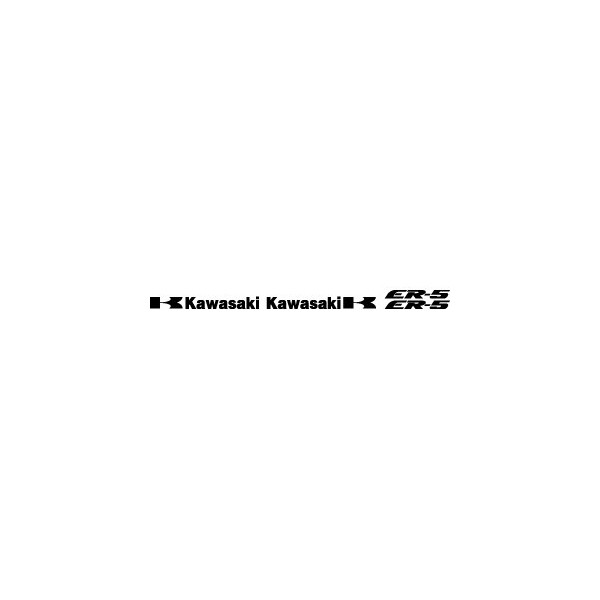 Kit Kawasaki ER5