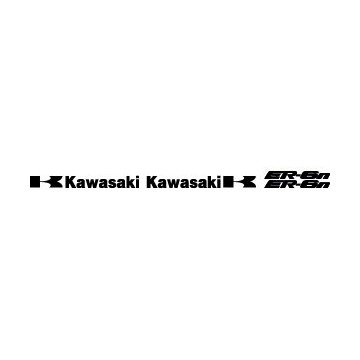 Kit Kawasaki ER6N