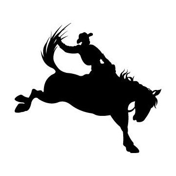 Horse & Cowboys Decals