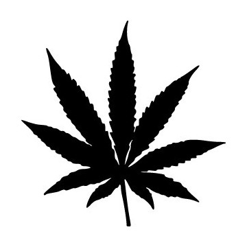 Cannabis Marijuana