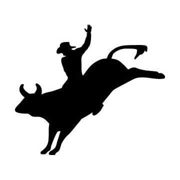 Rodeo Cowboy Bull