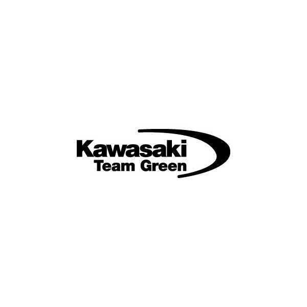 Kawasaki Team Green