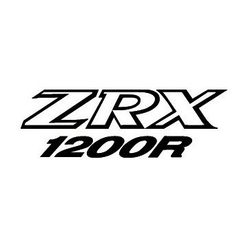 Kawasaki ZRX1200R 2002-2007