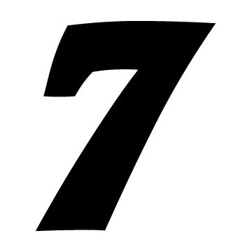 Race Number 7