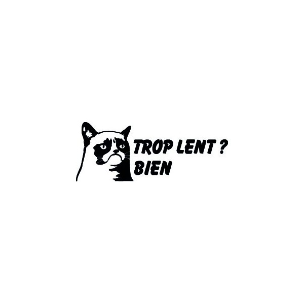 Grumpy Cat Trop Lent ? Bien