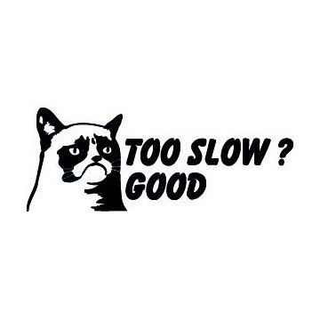 Grumpy Cat Too Slow ? Good