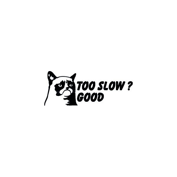 Grumpy Cat Too Slow ? Good