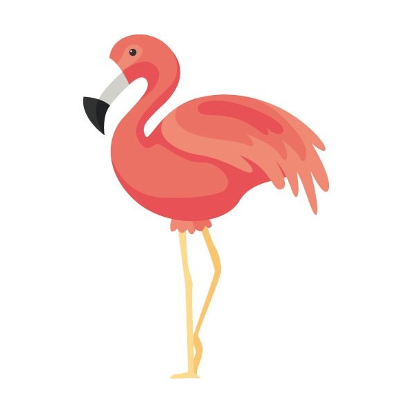 Flamingo Decals