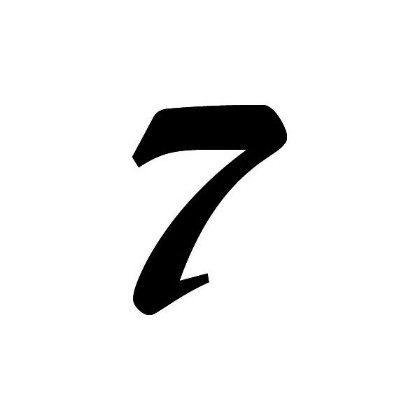 Race Number 7