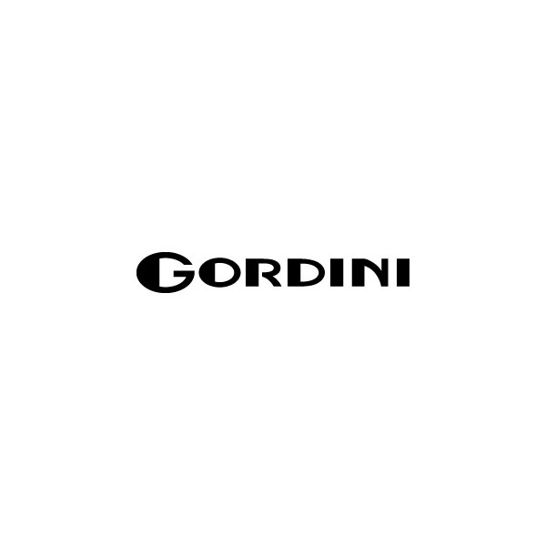 Renault Gordini 2010