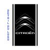 Citroen Racing Stripes