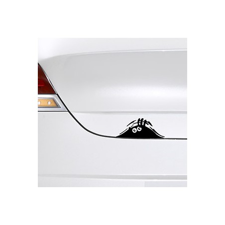 Hidden Monster Car
