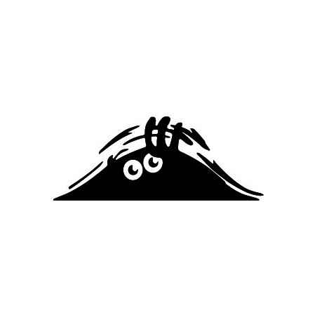 Hidden Monster Car