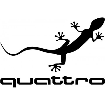Audi Quattro Gecko