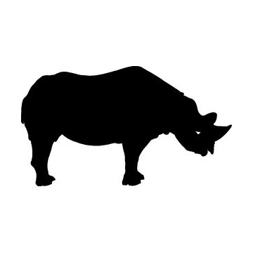Rhinocéros 2