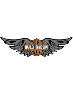 Harley Davidson 08