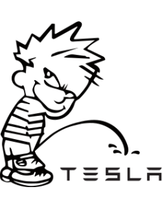 Bad Boy pee on Tesla