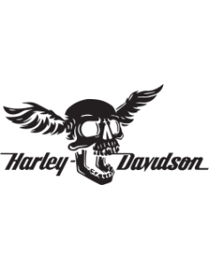 Harley Davidson skull 02