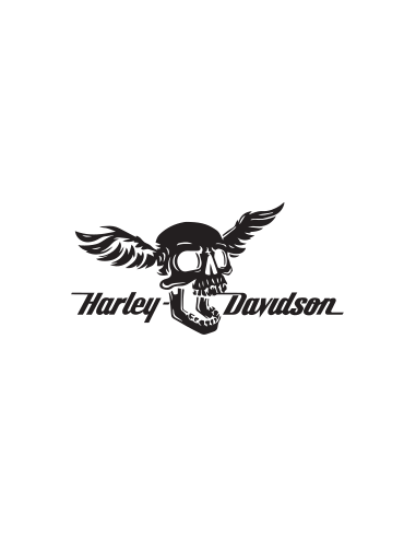Harley Davidson skull 02