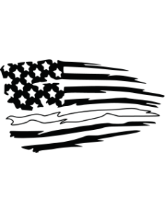 US Flag - Mr JACQUEMOND