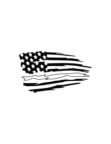 US Flag - Mr JACQUEMOND