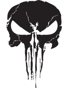 New Punisher