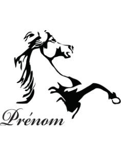 sticker autocollant cheval à personnaliser avec le nom du cavalier