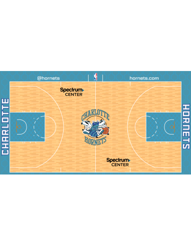 Terrain de Basket Charlotte Hornets (logo 1989-2002)