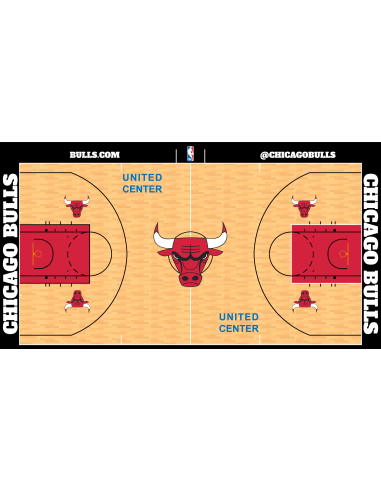 Terrain de basket Chicago bulls