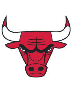 Printed Chicago Bulls sticker featuring the iconic red bull head logo – ideal for basketball fans and indoor decor