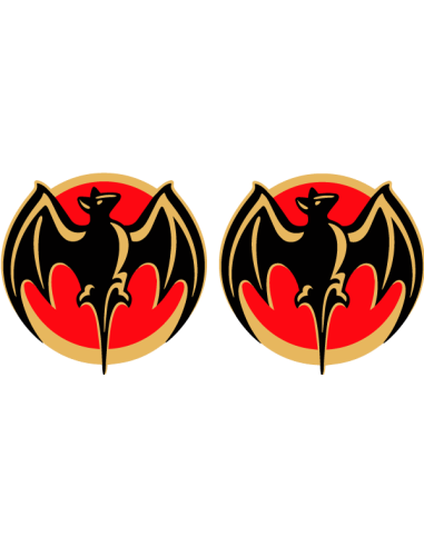 Promo Lot 2 Bacardi plastifiés