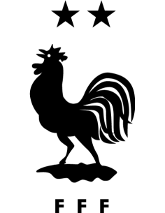 France FFF football rooster logo sticker decal with 2 stars in vinyl for car decoration